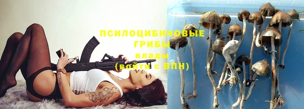 гидра Балабаново