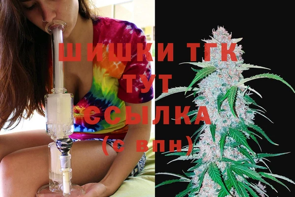 apvp Аркадак