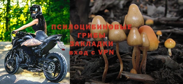 apvp Аркадак
