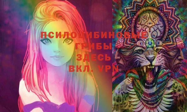 эйфоретик Баксан